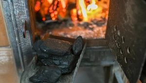 Węgiel w sklepie PGG ma być tańszy