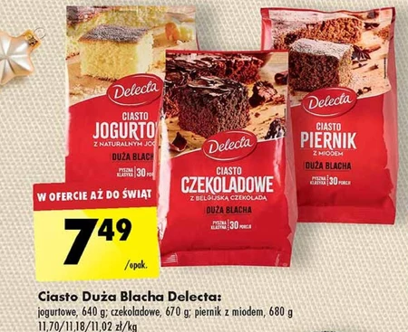 Delecta Duża Blacha Ciasto czekoladowe z belgijską czekoladą mieszanka do przygotowania ciasta 670 g