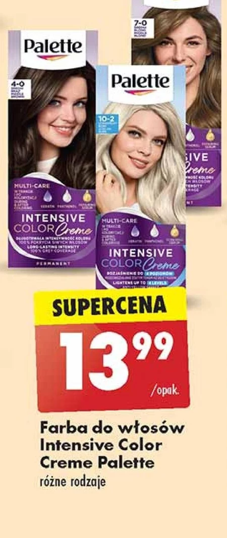 Palette Intensive Color Creme Farba do włosów w kremie rozjaśniacz 10-2 (A10) ultrapopielaty blond