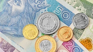 Jak oszczędzać podczas Black Friday?