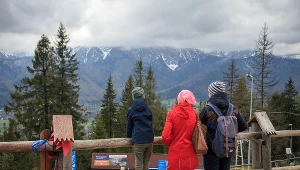 Ile wynosi dofinansowanie wczasów pod gruszą?