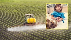 Białaczka przez pestycydy? Chemikalia mogły być przyczyną śmierci dzieci