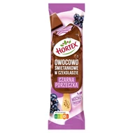 Hortex Lody owocowo śmietankowe w czekoladzie czarna porzeczka 120 ml