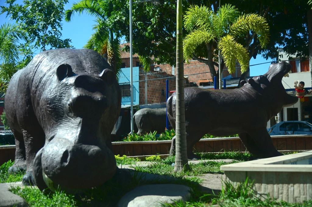 Pomnikowe hipopotamy w Doradal w Kolumbii