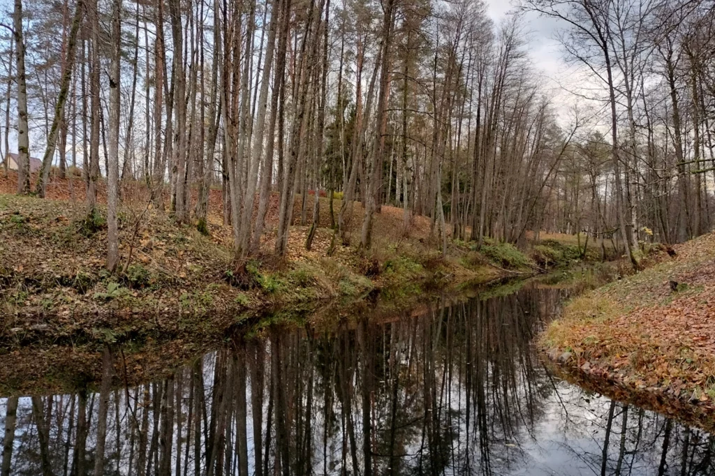 Park uzdrowiskowy imienia K. Dineiki i E. Levickiej