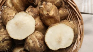 Wyjątkowo zdrowy zamiennik ziemniaków. Obniża ciśnienie krwi i wspomaga odchudzanie