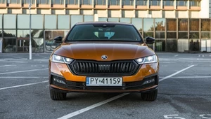 Skoda Octavia z miękką hybrydą. Najbardziej zapamiętam fenomenalne spalanie