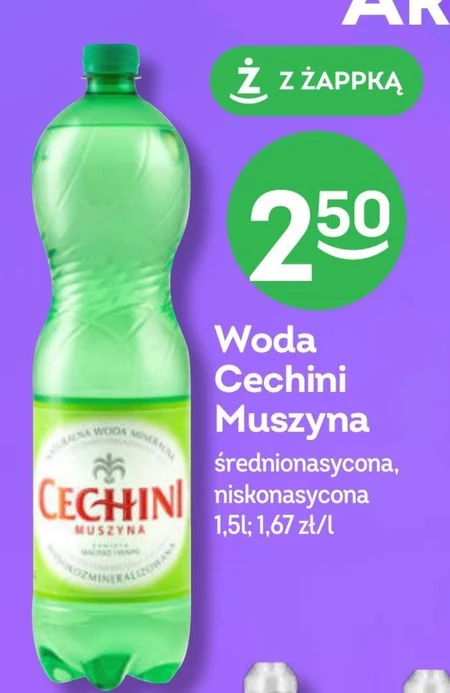 Cechini Muszyna Naturalna woda mineralna wysokozmineralizowana średnionasycona CO₂ 1,5 l