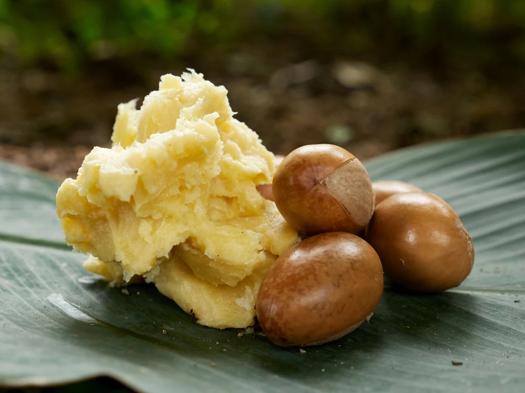 Masło shea to jeden z najzdrowszych składników, jaki może pojawić się w margarynie