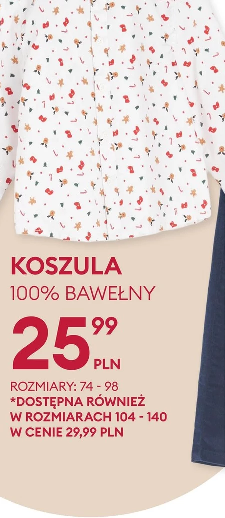 Koszula Sinsay