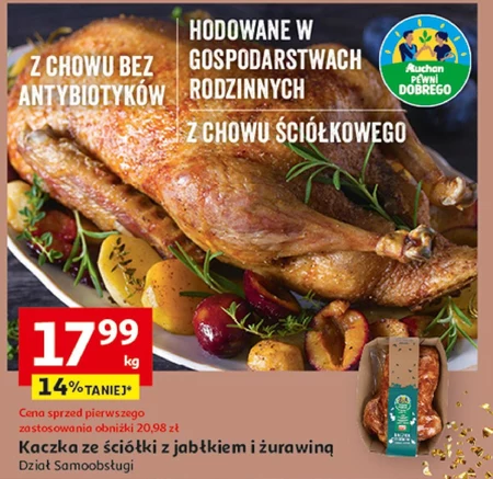Kaczka Auchan