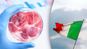 Włosi jako pierwsi na świecie wprowadzą zakaz sztucznego mięsa. Spotkało się to z krytyką ze strony naukowców i ekologów