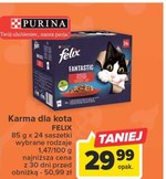 Karma dla kota Felix