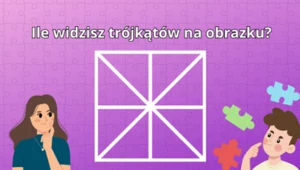 Zagadka matematyczna, z którą mają problem eksperci. Ile widzisz trójkątów na obrazku? 