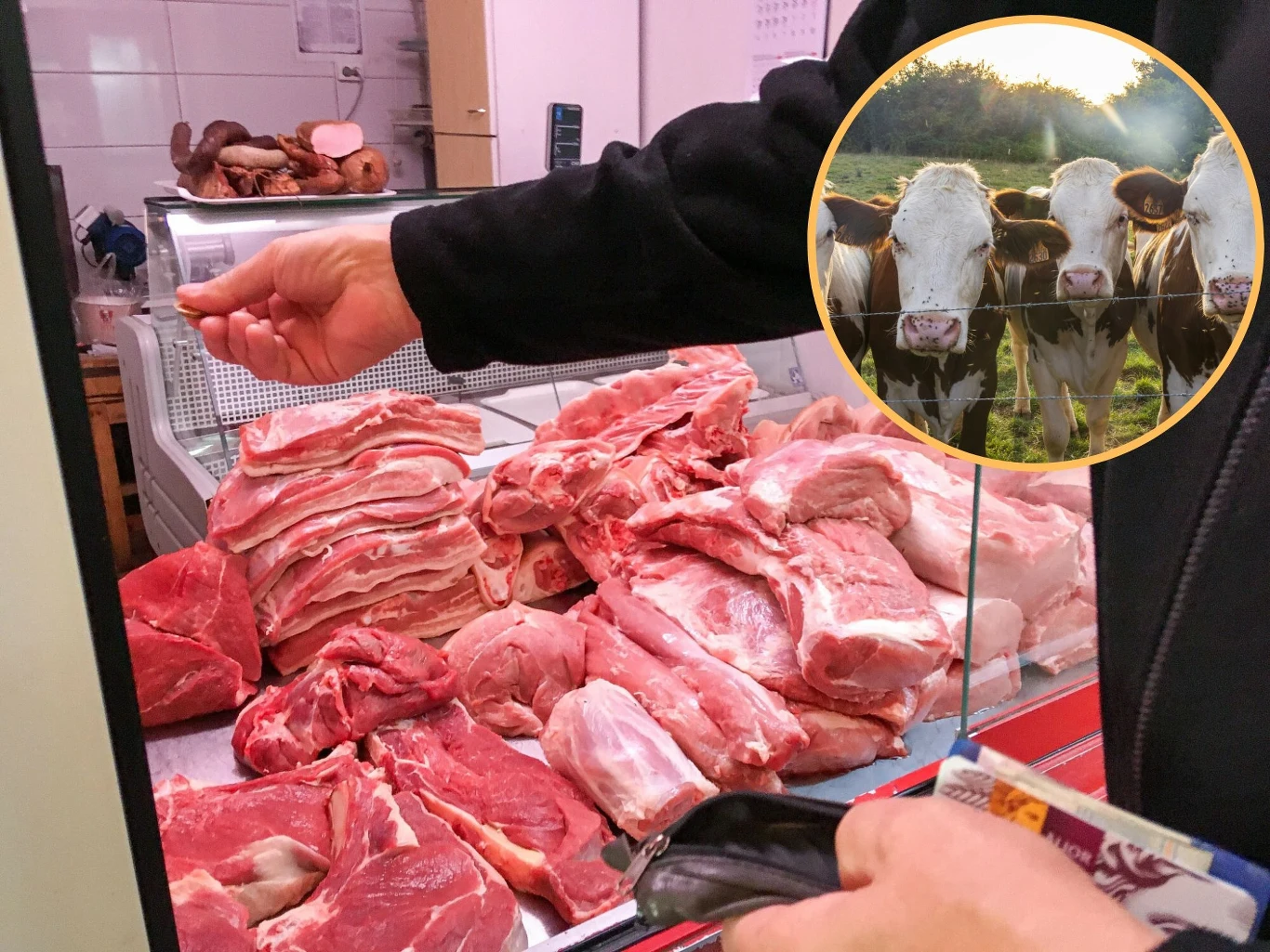 Ludzkość wyrzuca aż 1/6 wyprodukowanego mięsa. Dane te są szokujące z wielu względów Ludzkość wyrzuca aż 1/6 wyprodukowanego mięsa. Dane te są szokujące z wielu względów