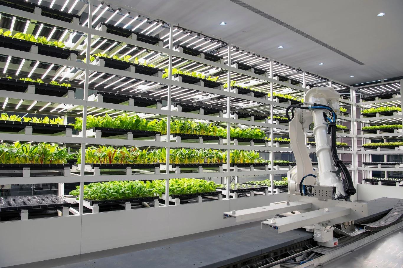 Zakład produkcyjny Innovation Center Hyundaia w Singapurze