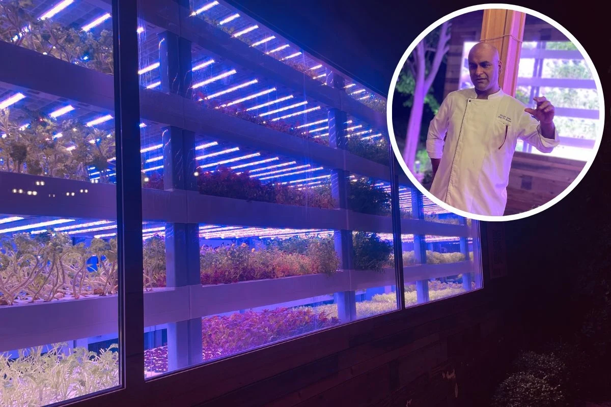 Hydroponiczne farmy stanowią integralną część restauracji 