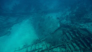 Zadziwiające odkrycie. Statek z epoki kamienia i skarb u wybrzeży Capri 