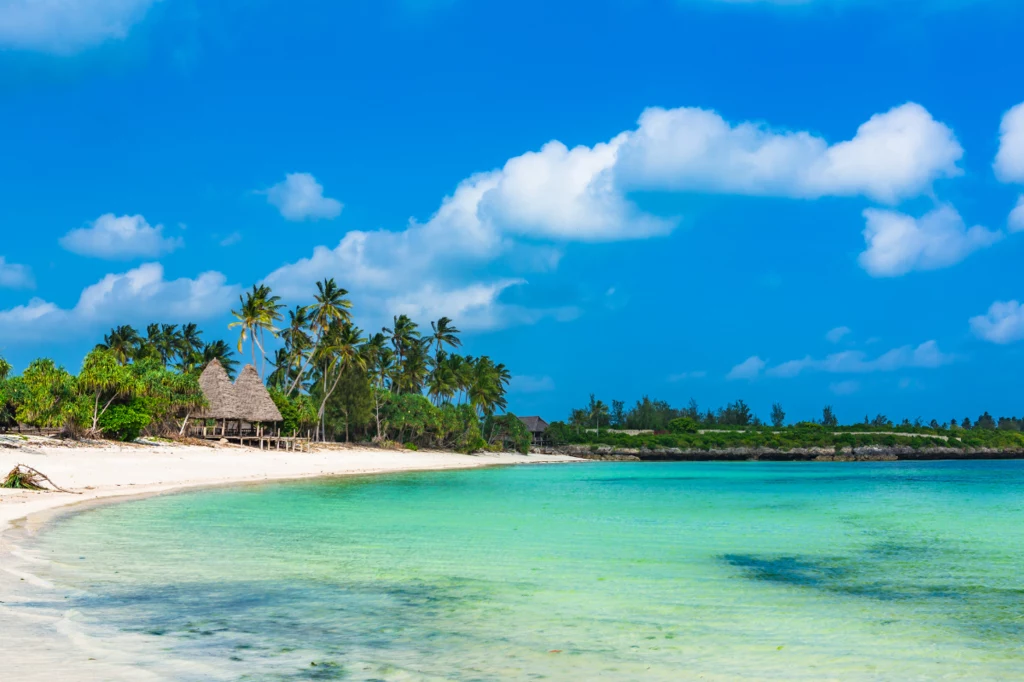 Plaże na Zanzibarze są magnetyczne