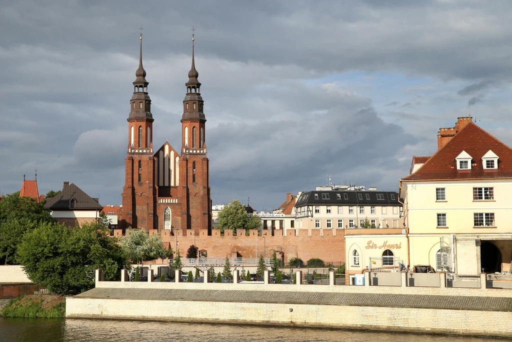 W opolskiej katedrze odkryto cenne zabytki. Biskup kazał wszystko zakopać.