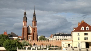 Archeolodzy odkryli cenne zabytki w katedrze. Biskup kazał wszystko zakopać!