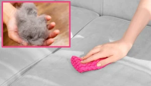 Twój pupil zostawia sierść na kanapie? W ten sposób szybko ją usuniesz