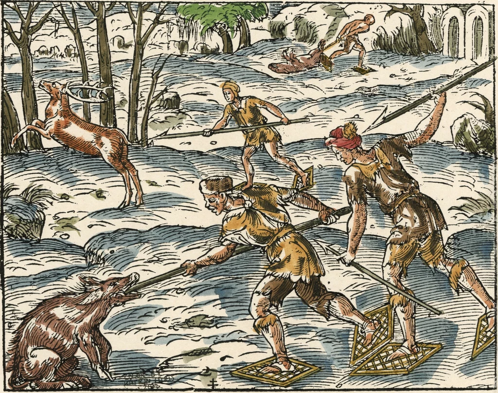 Rycina pokazująca polowanie na dzika, wykonana już w XVI wieku