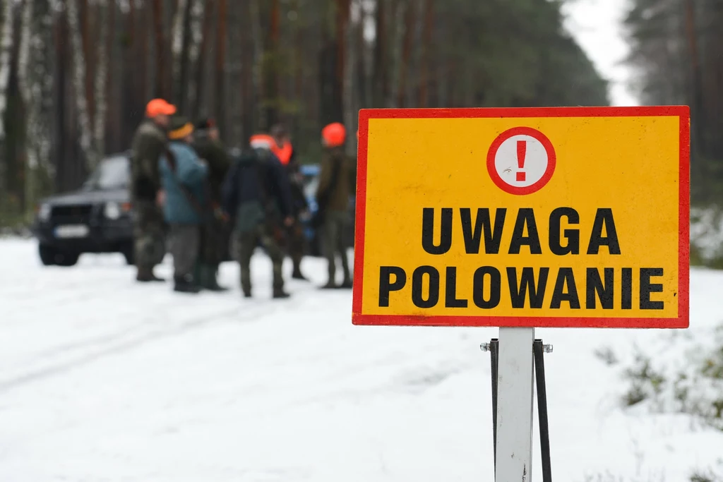 Unia Europejska odrzuciła pomysł, żeby w państwach członkowskich zakazać polowań. Ale myśliwi i tak protestują