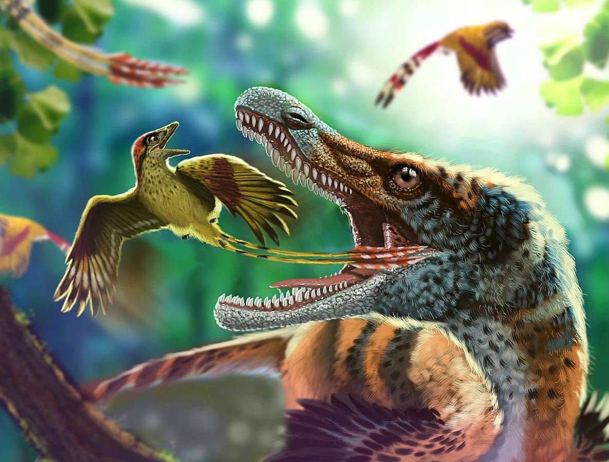 Cratoavis Cratoavis