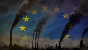 Setki tysięcy zgonów w Europie z powodu smogu. Polska na czele