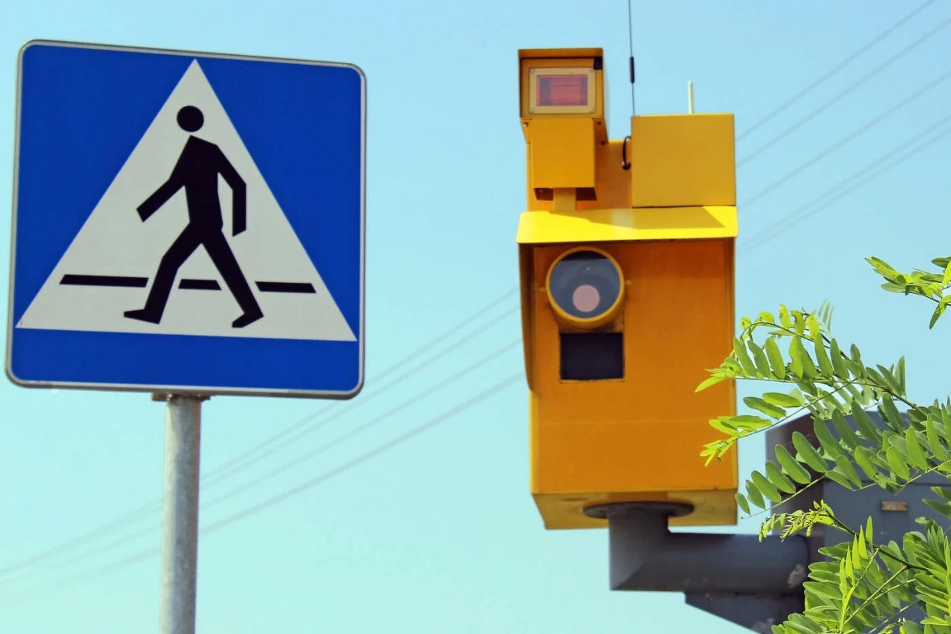Na polskich drogach, w ramach systemu CANARD, istnieje 471 stacjonarnych urządzeń do mierzenia prędkości, które w całym kraju mają jednolity, żółty kolor.