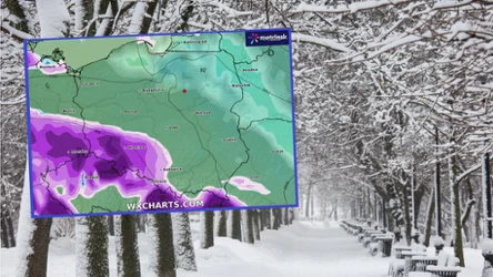 Synoptycy IMGW wydali alert dla łącznie siedmiu województw. Na południu i północy kraju spodziewane są intensywne opady śniegu