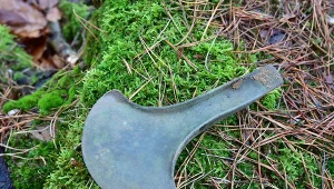 Na terenie Nadleśnictwa Starogard doszło do niezwykłego odkrycia