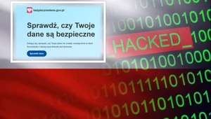 Padłeś ofiarą wycieku hakerskiego z ALAB? Sprawdź w rządowym narzędziu