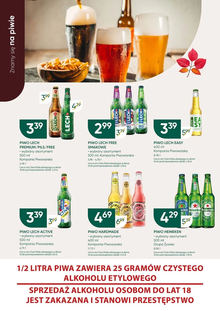 leaflet page preview image
