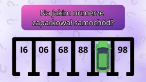 Test IQ: Na jakim numerze stoi auto? Aż 98% osób nie zna poprawnej odpowiedzi