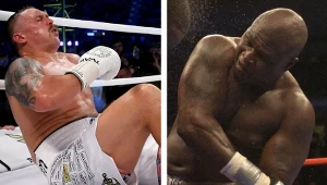 Ołeksandr Usyk (z lewej) i James Toney