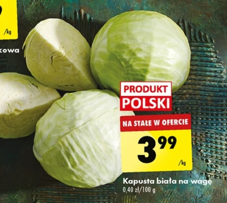 Kapusta biała