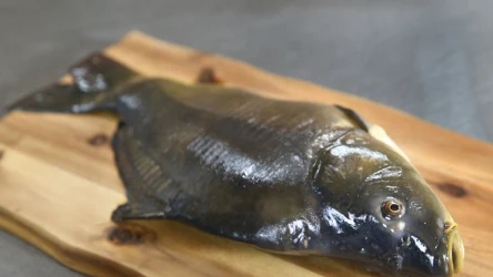 Karp na Wigilię to już tradycja. Ile trzeba za niego zapłacić w 2023 roku? 