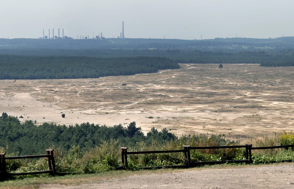 Pustynia Błędowska to największa pustynia w Polsce. Jest tam kilka punktów widokowych.