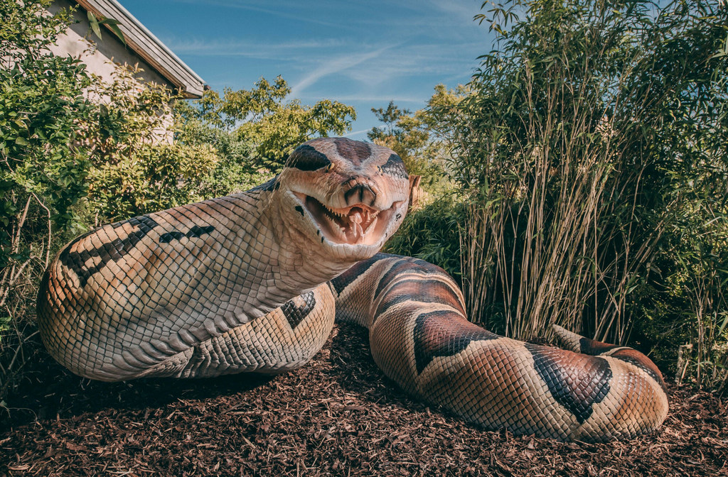 Titanoboa