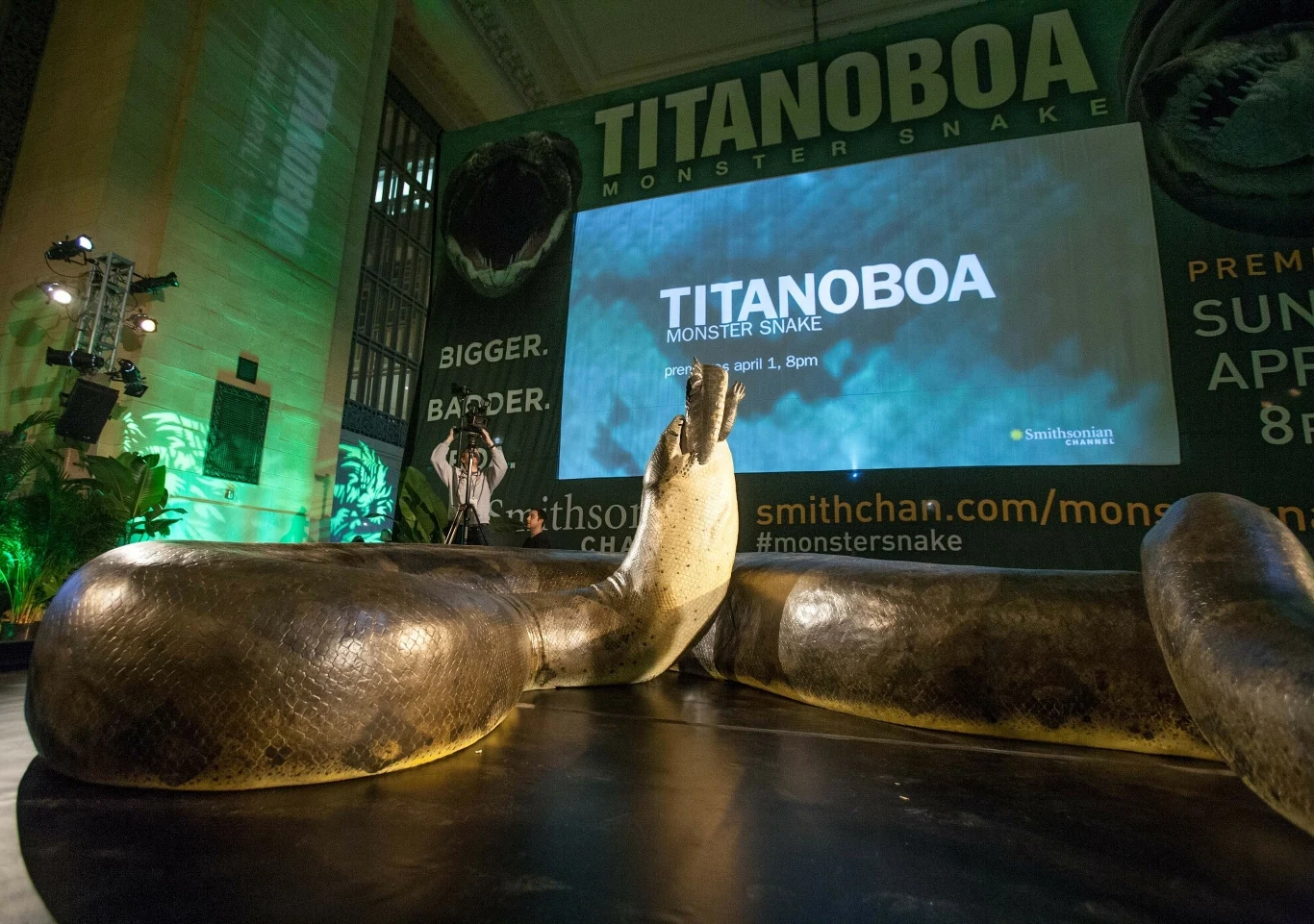 Titanoboa