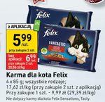 Karma dla kota Felix
