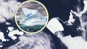Największa góra lodowa ruszyła i dryfuje. Zmieni życie Antarktydy