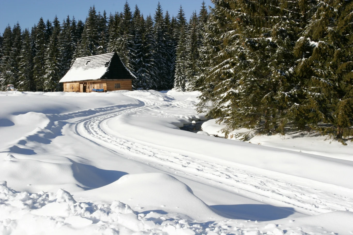 Spacerem przez Dolinę Chochołowską