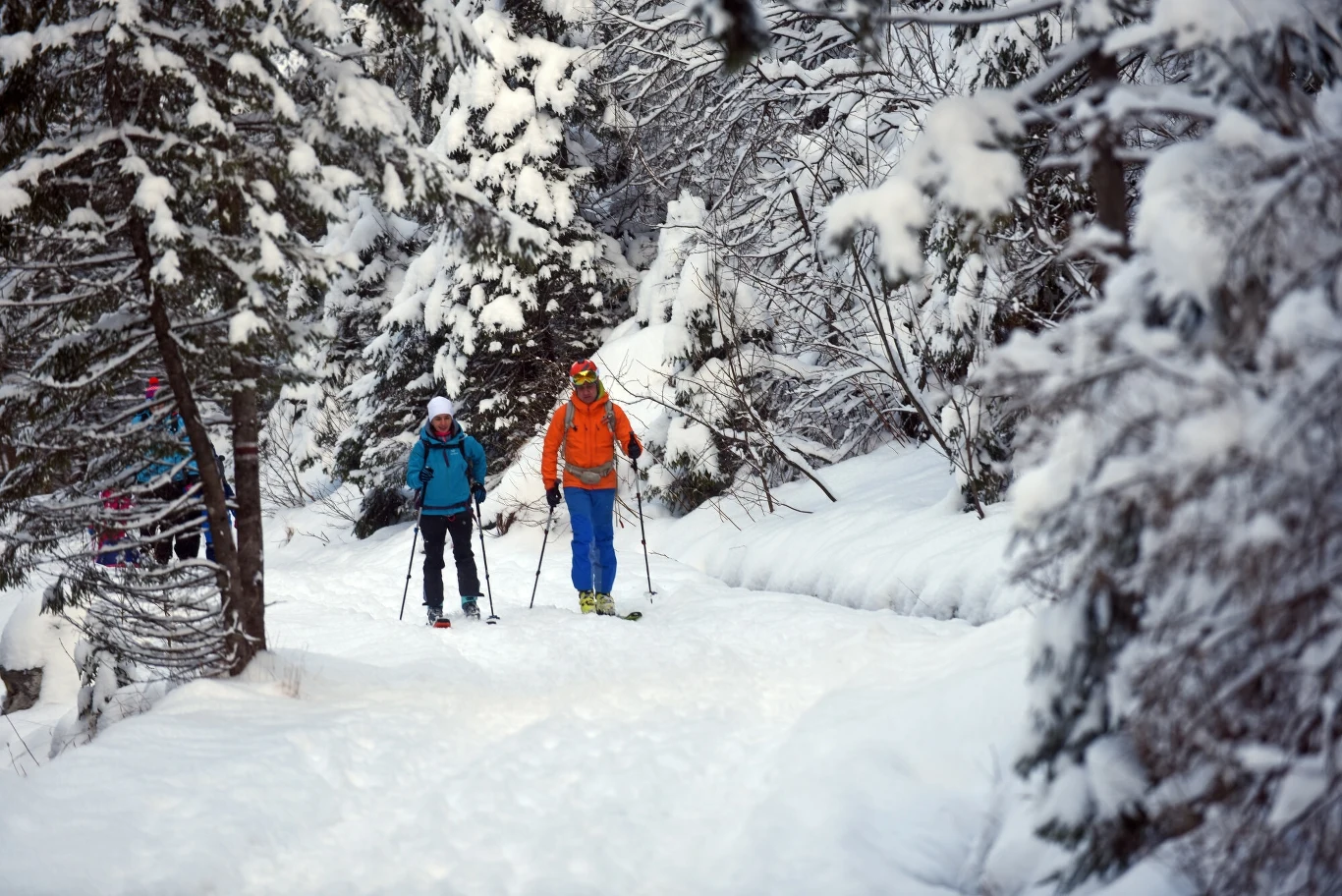 Dolina Strążyska ma wiele do zaoferowania fanom zimowych aktywności