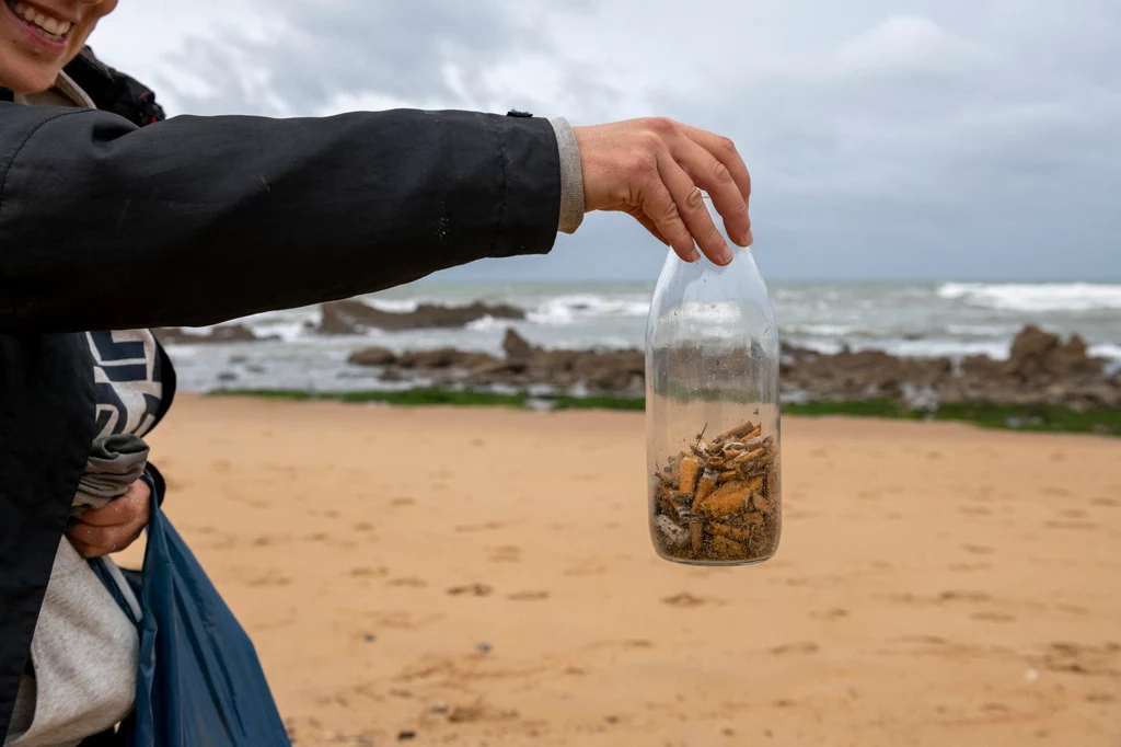 Niedopałki zebrane na plaży Sauveterre w Vendee