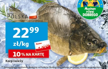 Karp