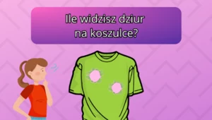 Test IQ, w którym należy użyć logicznego myślenia. Ile widzisz dziur na koszulce?