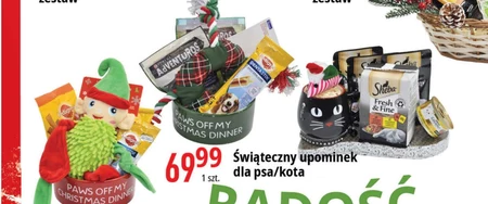 Zestaw dla psa